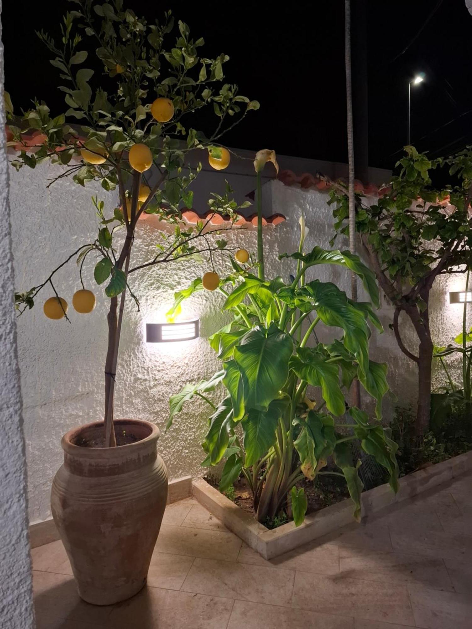 圣玛丽亚德尔法加洛Toluammare Sicily别墅 外观 照片